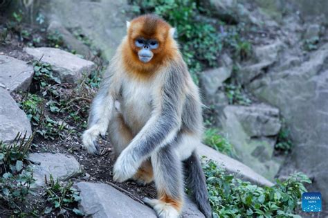 玉合公園怎麼樣 可否分享一些園區內的動物保護實踐?